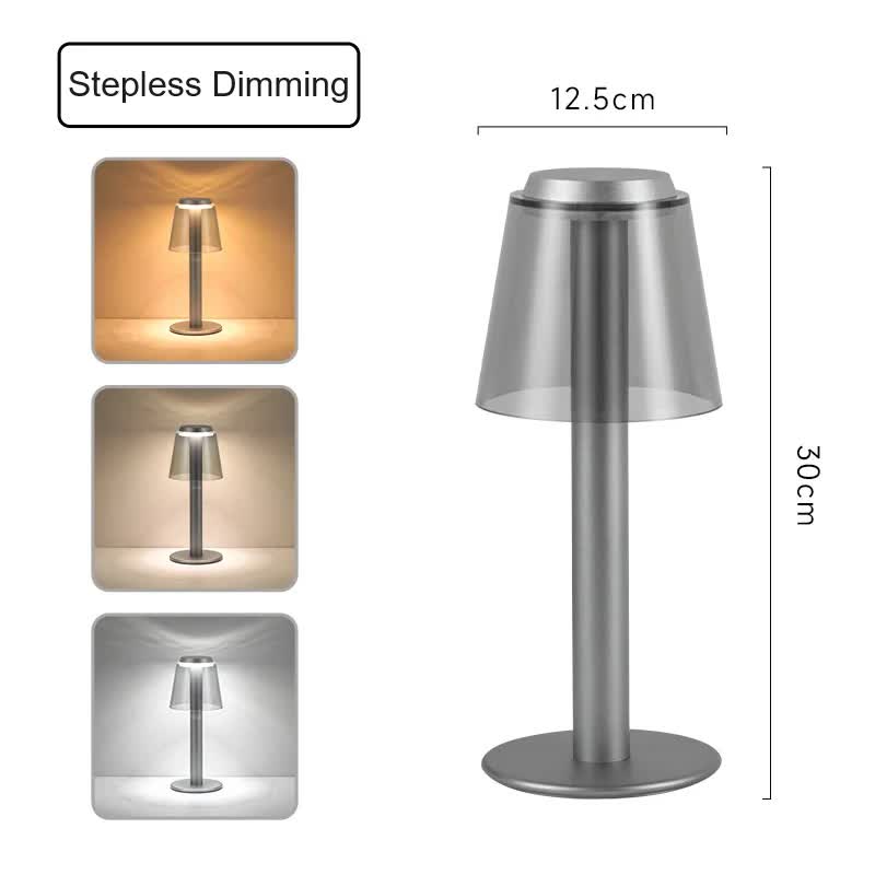 NNEDSZ Silver Stylish Transparent Desk Lamp with Touch Control, LED, Type-C Charging - Simple and Modern Design-0